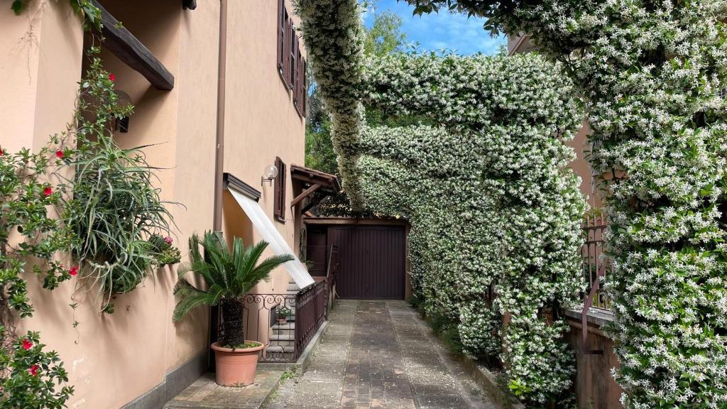 Appia apartment - 2