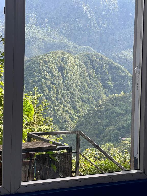 Surrounding environment