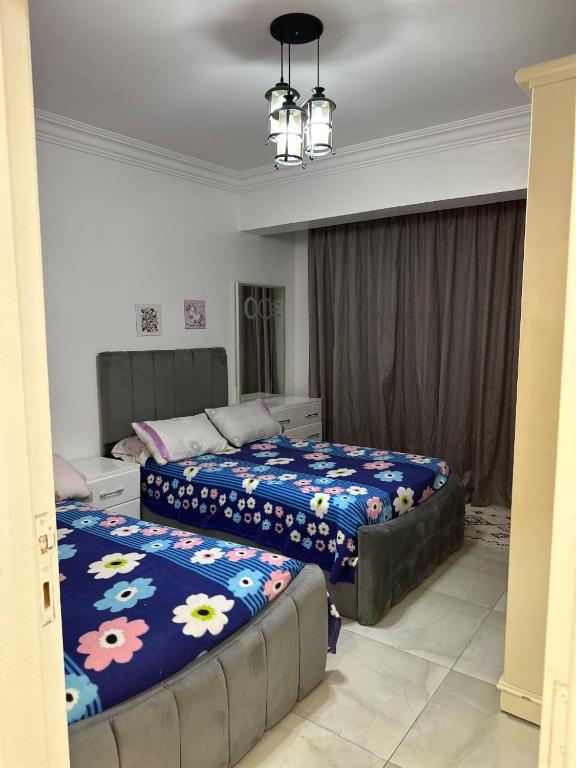 Compound mroge elshikh zayed, Káhira