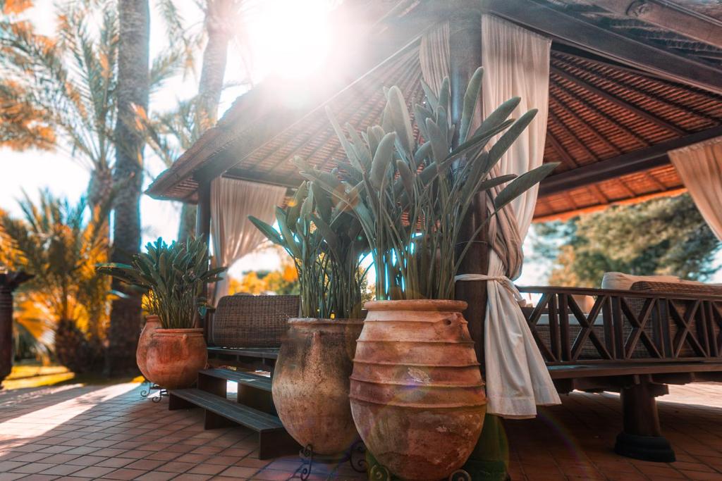 Lush gardens at an adults-only hotel in Moraira