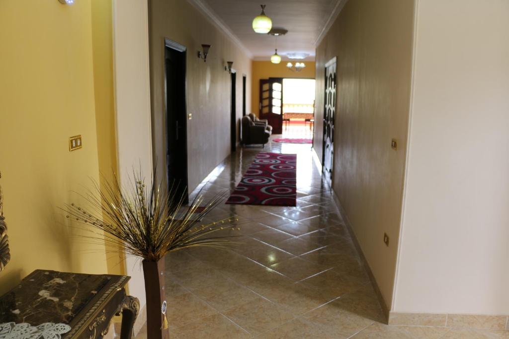 Pyramids Power Inn photo