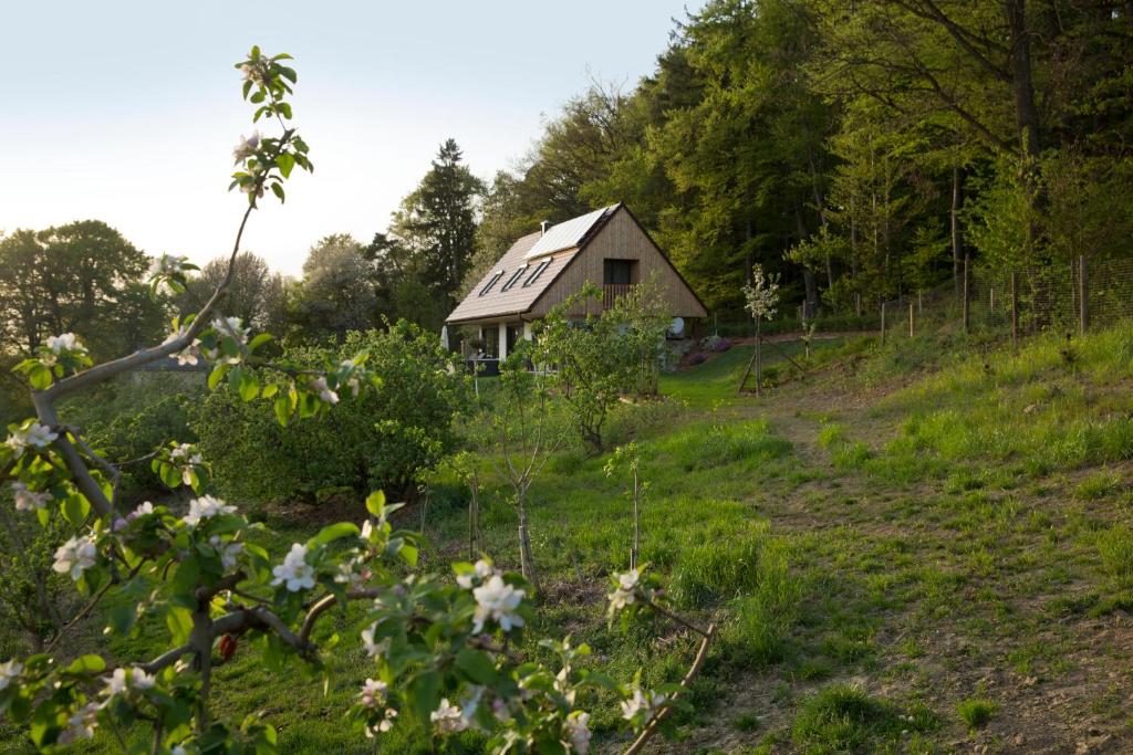 Refugium am Wald - 4