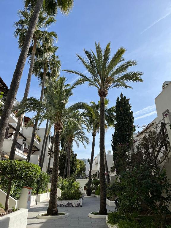 Casa Palma - 3