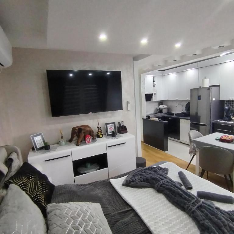 LARI Apartment, Subotica