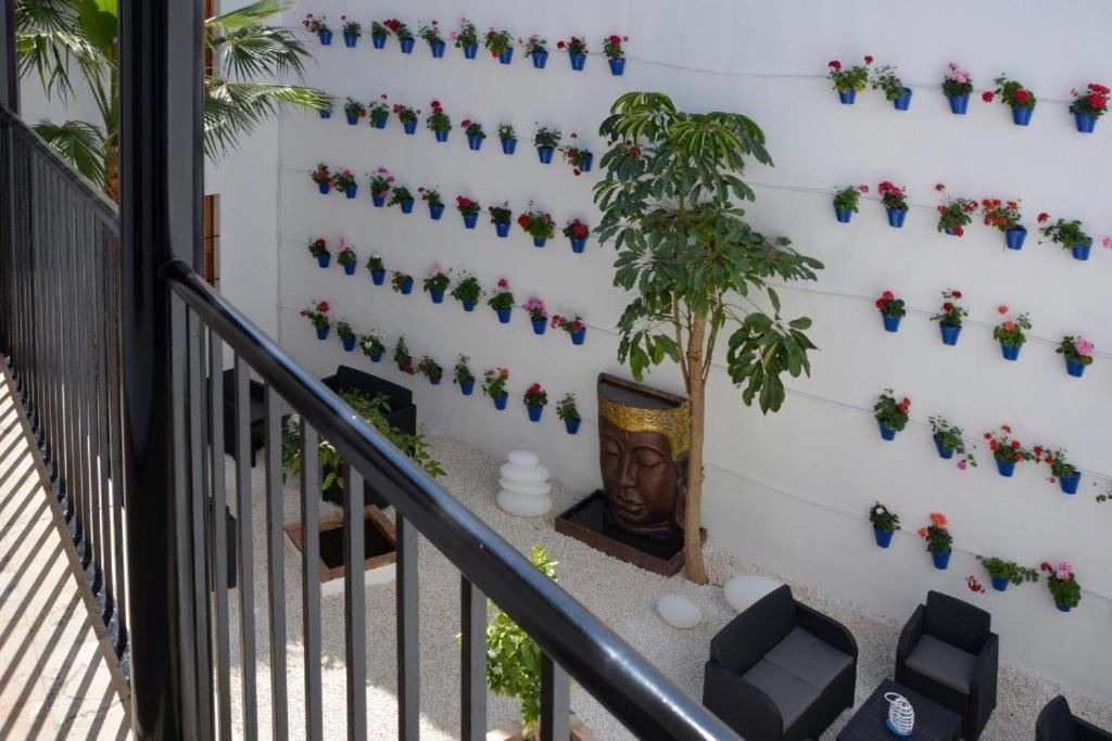 CASA PATIO LAS PALMERAs 1 Y 2 - 2