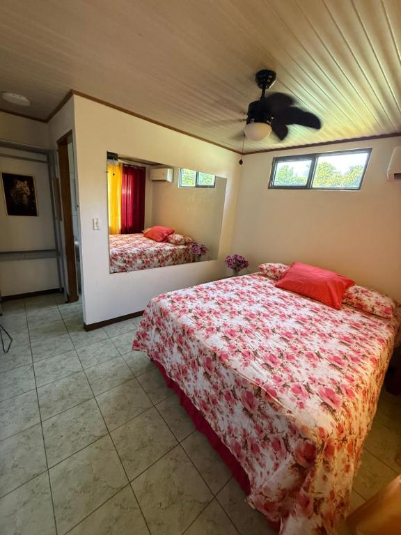 Monkey View, Puerto Viejo