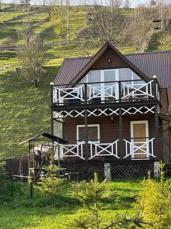 Файна хата 2, Synevyrsʼka Polyana