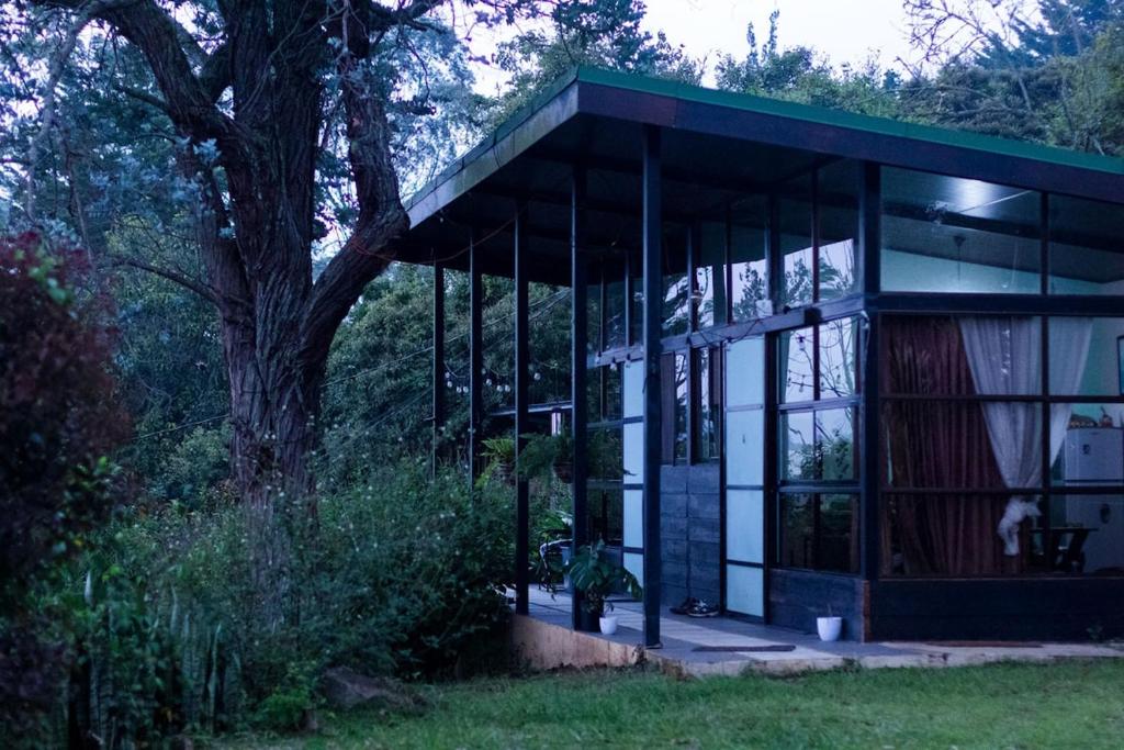 Eucalyptus Studio, Páez