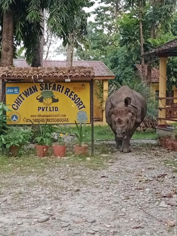 Chitwan Safari Resort, Sauraha