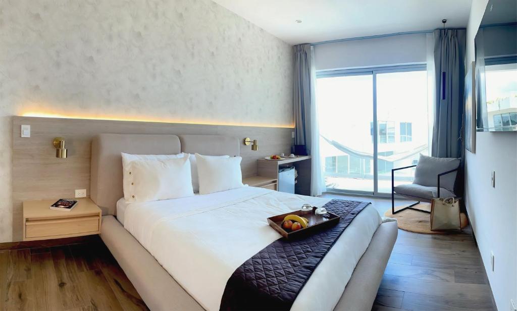 SUITE con Terraza Privada y Diseño Moderno - 1