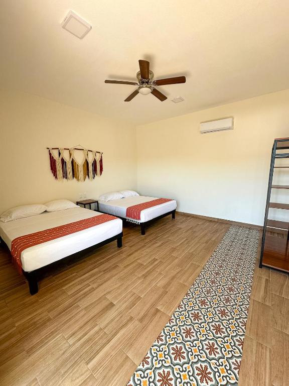 Casa Zazil - 2