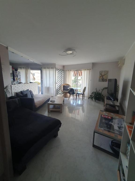 Large 2-room bright sea view near airport, Nice