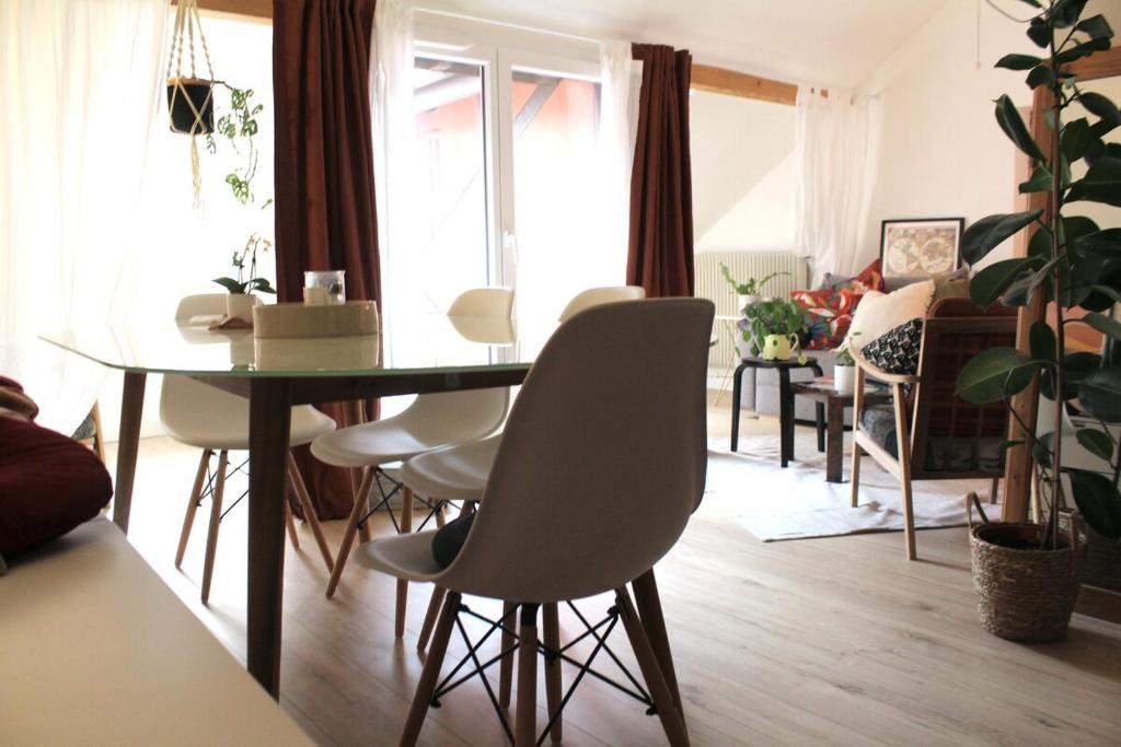 #LaMaisonVerte-calme en zone piétonne de Mulhouse - 2