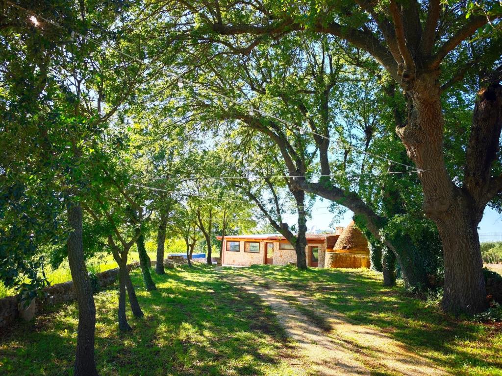 Il Trullo nel bosco - 4