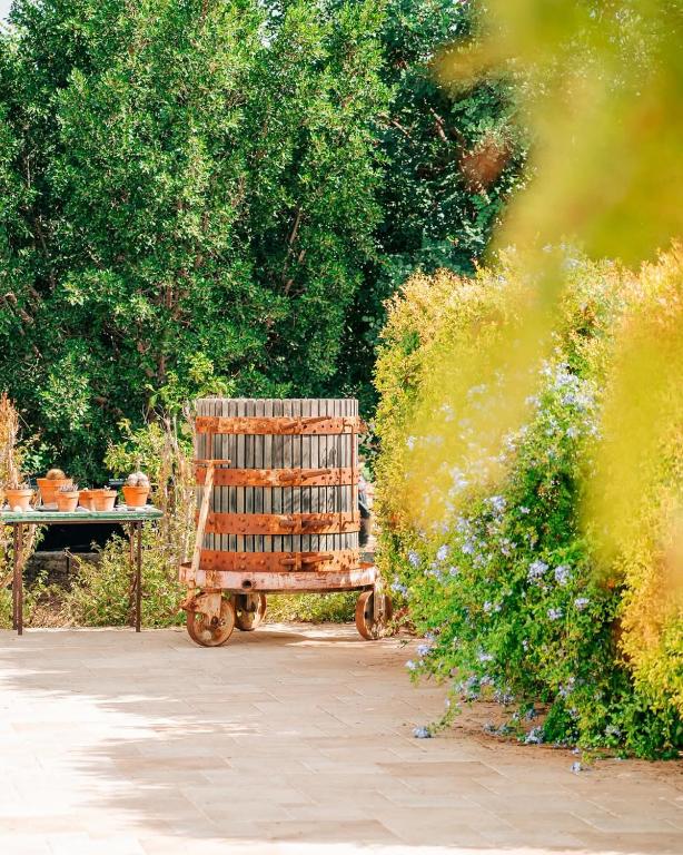 Surrounding environment