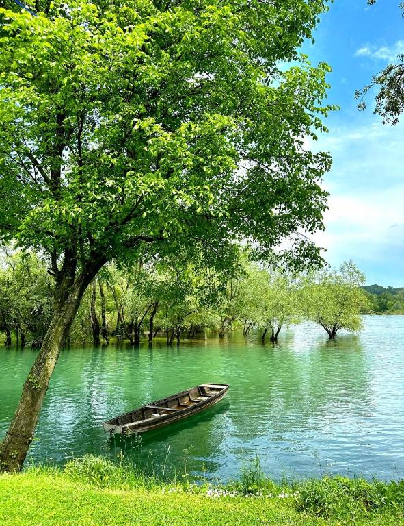 Drinska laguna - 2