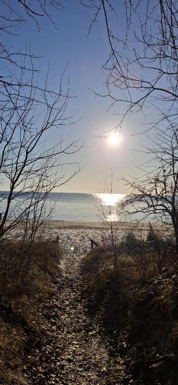 Strandtraum Lobbe Fewo 6, auf Anfrage mit Strandkorb, Lobbe