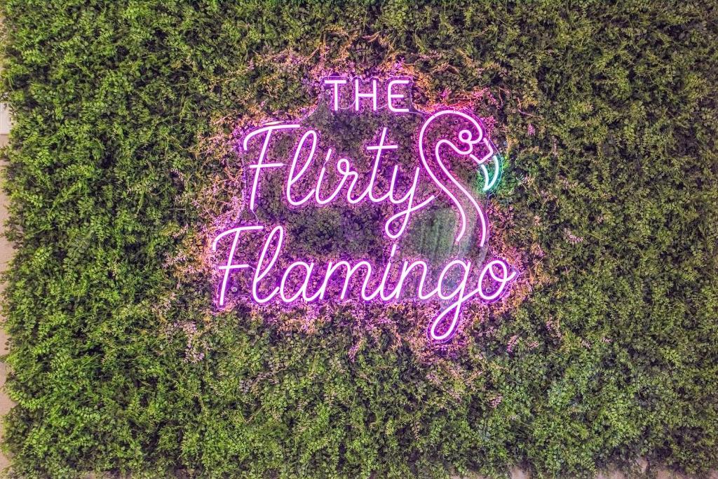 Flirty Flamingo, Homosassa