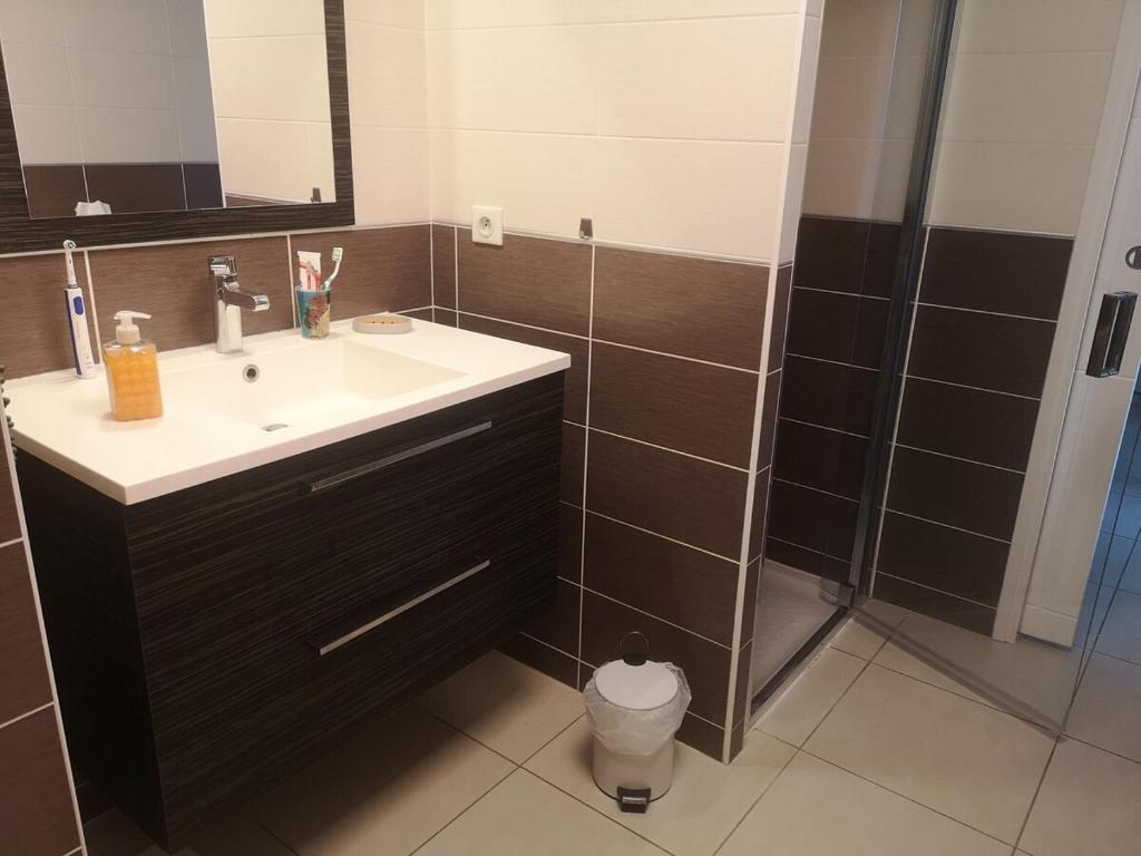 appartement 2 pieces avec parking ds résidence - 5