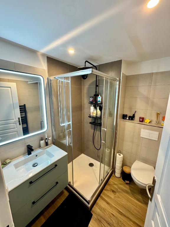 Appartement T3 avec terrasse et parking dans petite résidence fermée et calme , proche de toutes commodités - 4