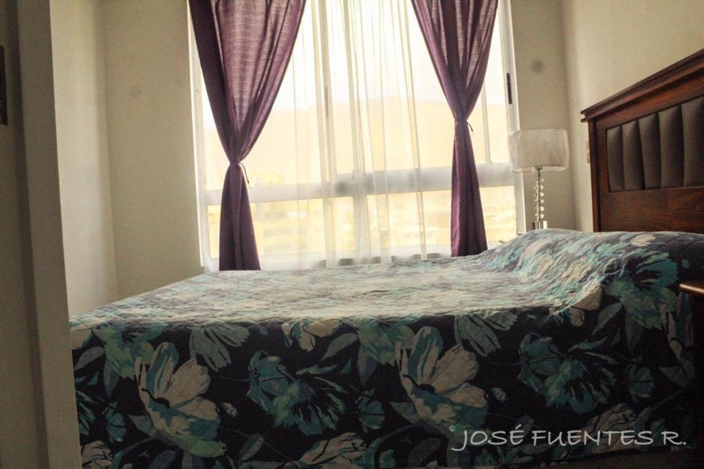 Bulnes labbe iquique departamento completo - 5