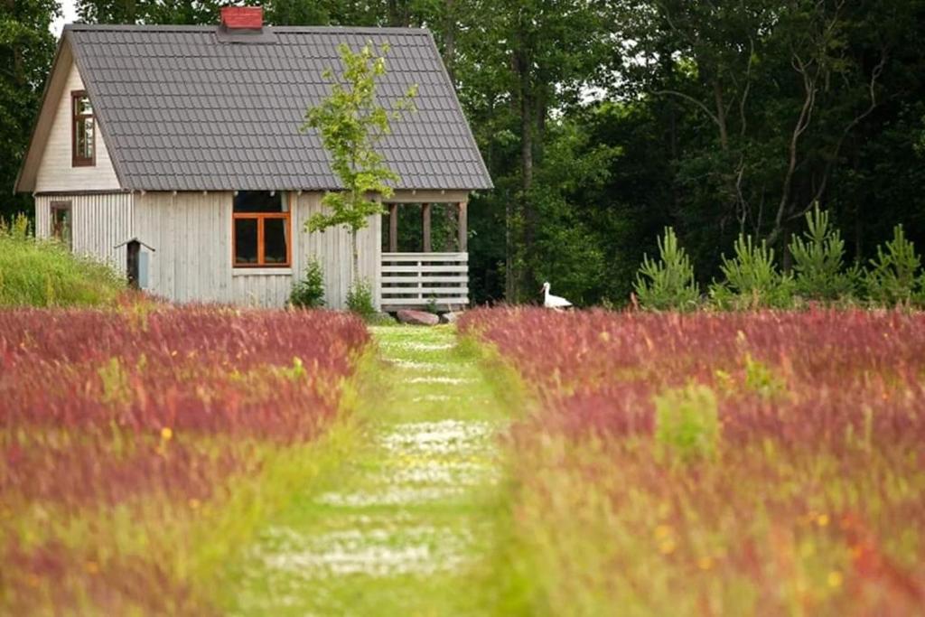 Ozoliņi, Pilsberģi