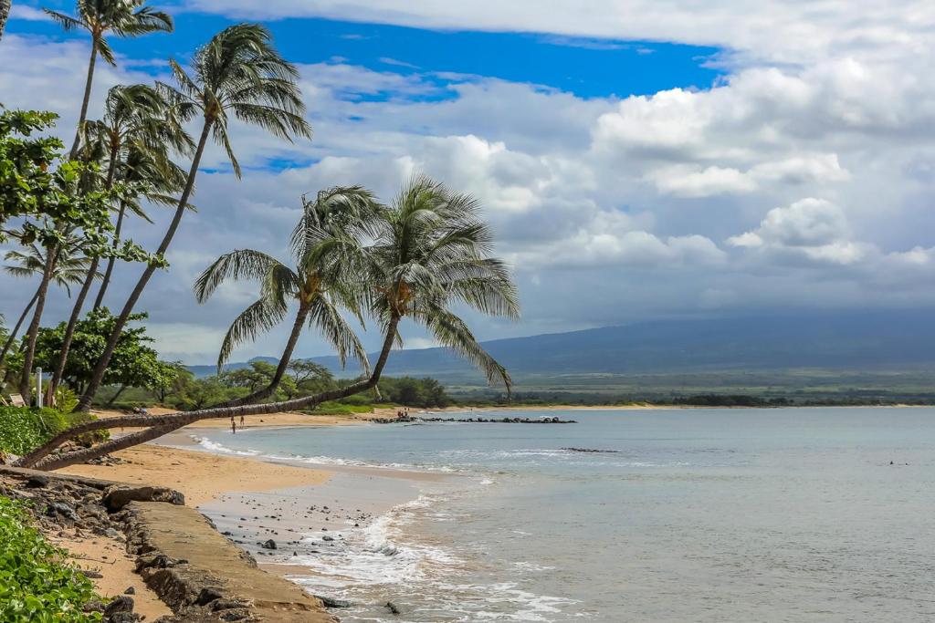 Lauloa 407 by Coldwell Banker Island Vacations, Wailuku