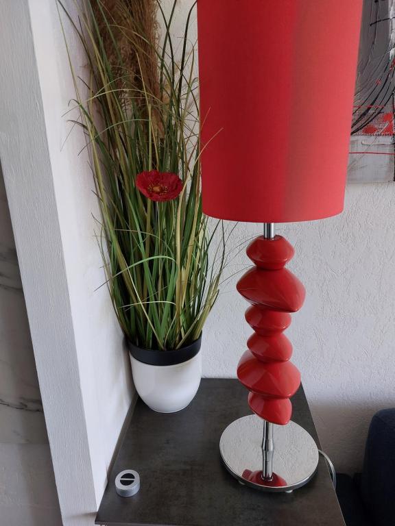 Studio 50M plage - 2