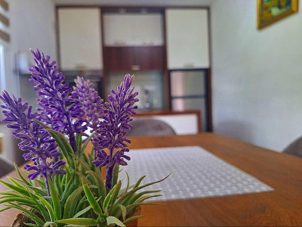 Apartman Kovaci, Sarajevo