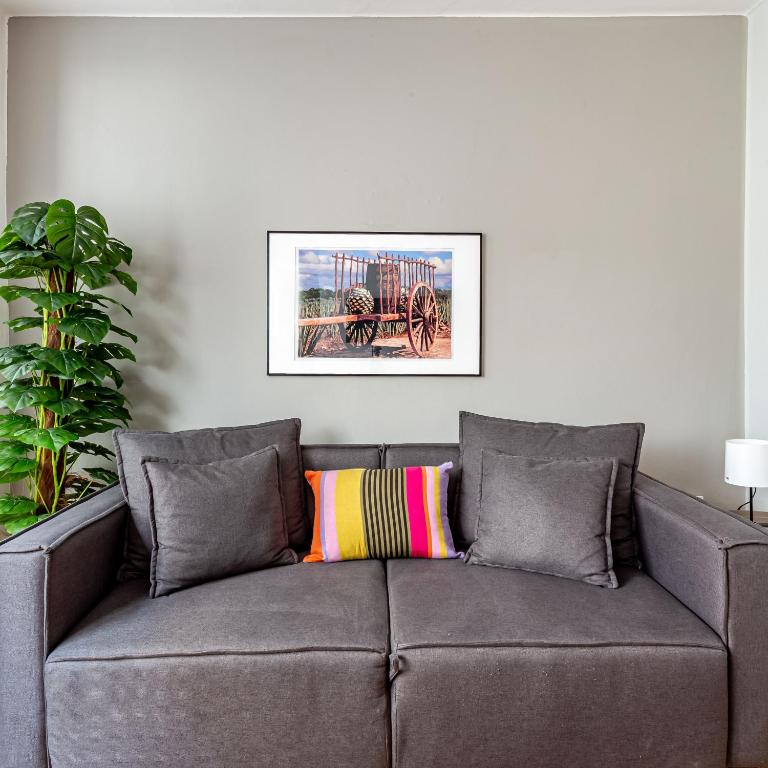 Amalli, Refugio Urbano, Mexiko