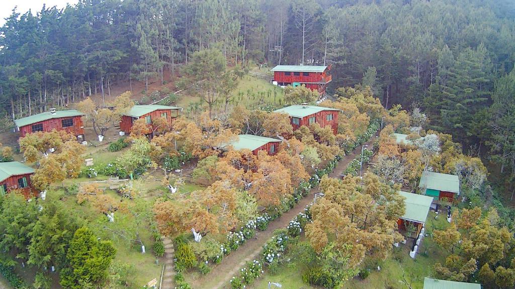 Alla Arriba, Las Cruces