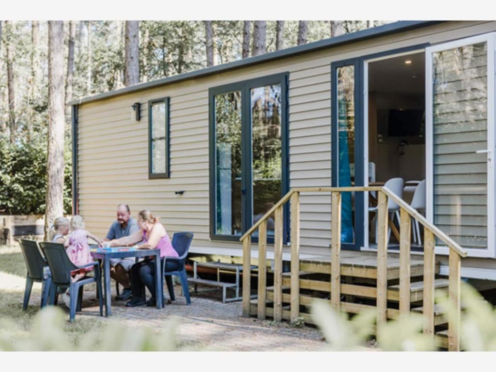 Tranquil pine forest chalet in Antwerp Kempen, Beulk