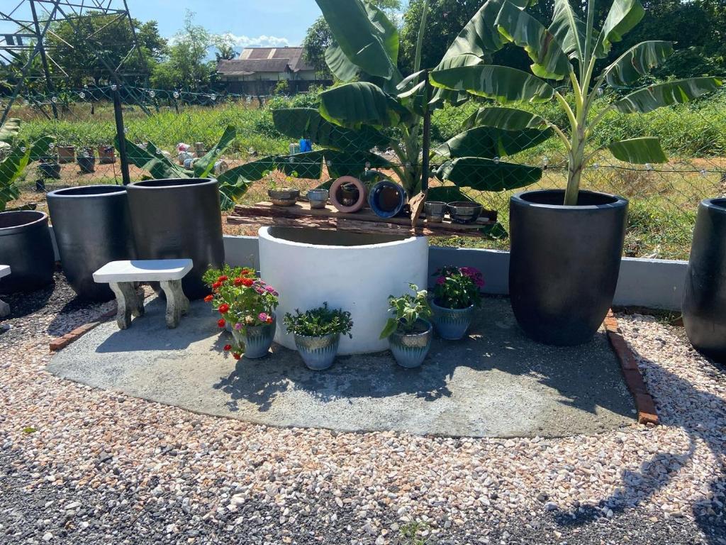 Garden, Sammy Hoomestay in Ipoh