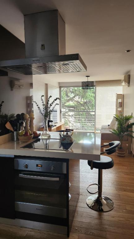 Concord Pilar Esplendido Loft 60m con cochera - 1