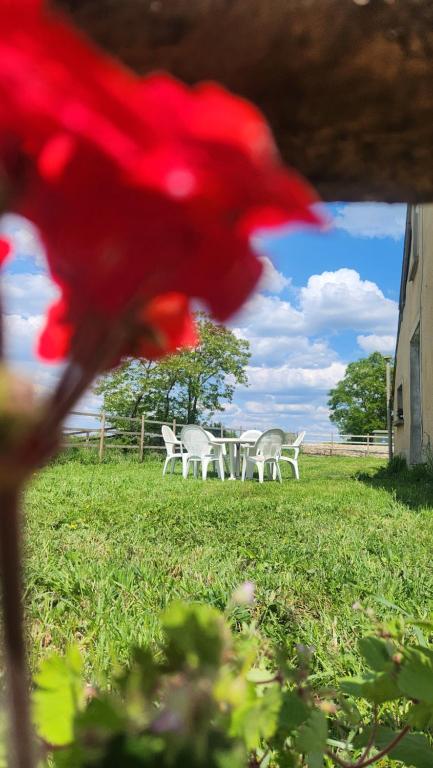 Gite de Lavardin, Saint-Aubin-de-Locquenay
