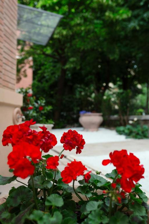 La casa dei Nonni - 2