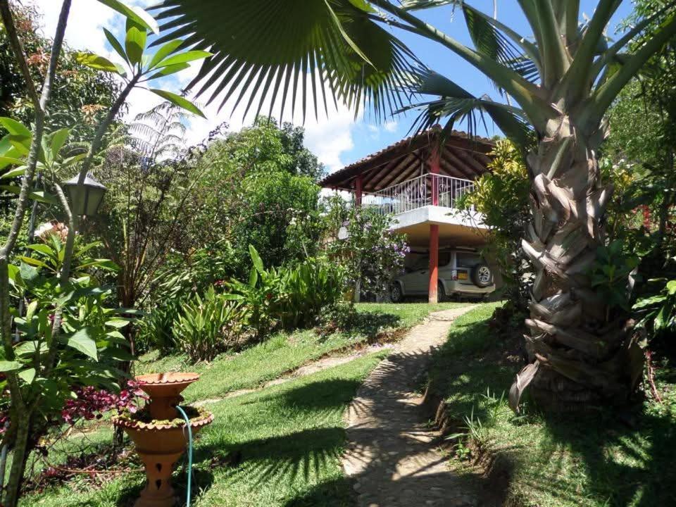 Finca Arcanos Celeste - 4