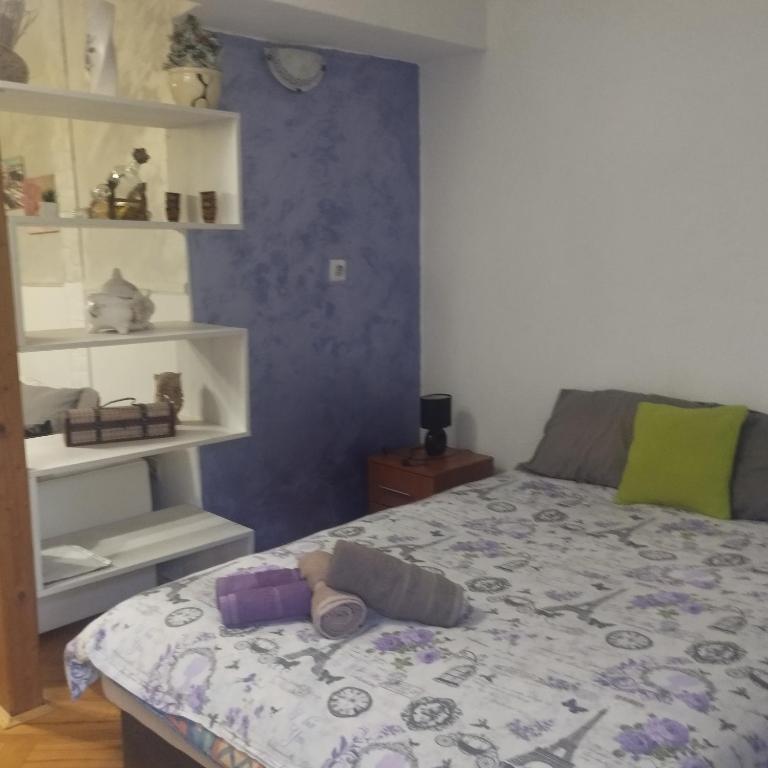 Apartmani Marić in Vrnjacka Banja - 3
