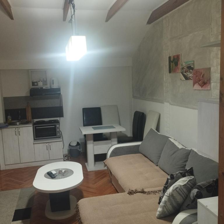 Apartmani Marić in Vrnjacka Banja - 2
