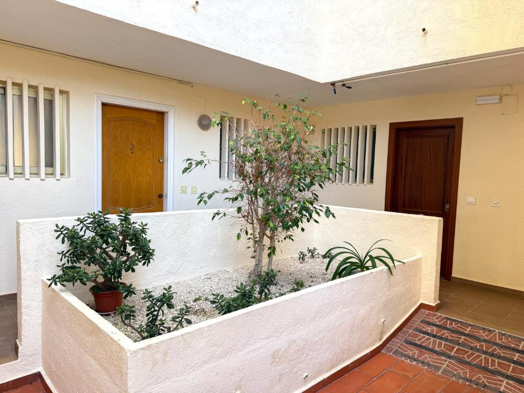 Apartamento Mare Nostrum Unitursa - 5