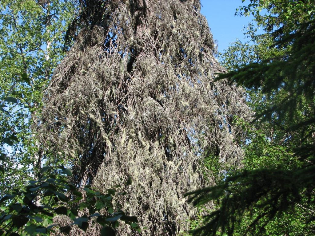 Sports and activities