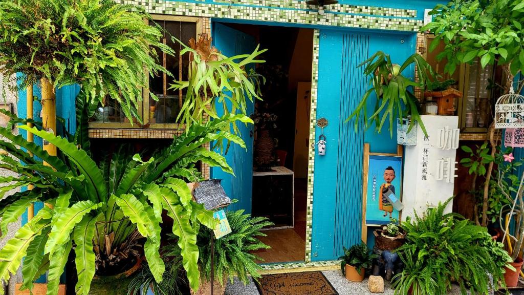 Spring Season, Tchaj-nan