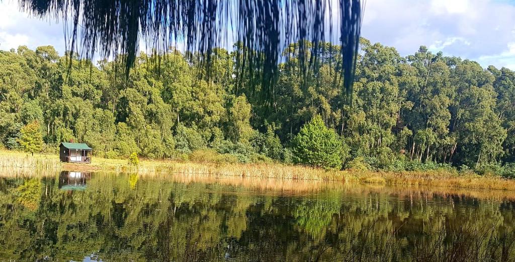 Wild Hunters Cabin, Mpofane