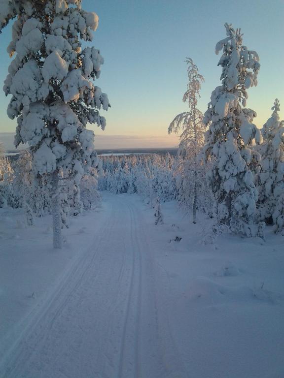 Sports and activities