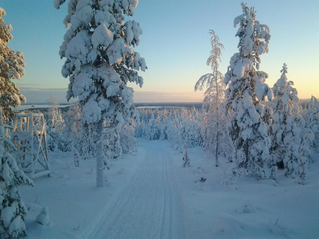 Sports and activities