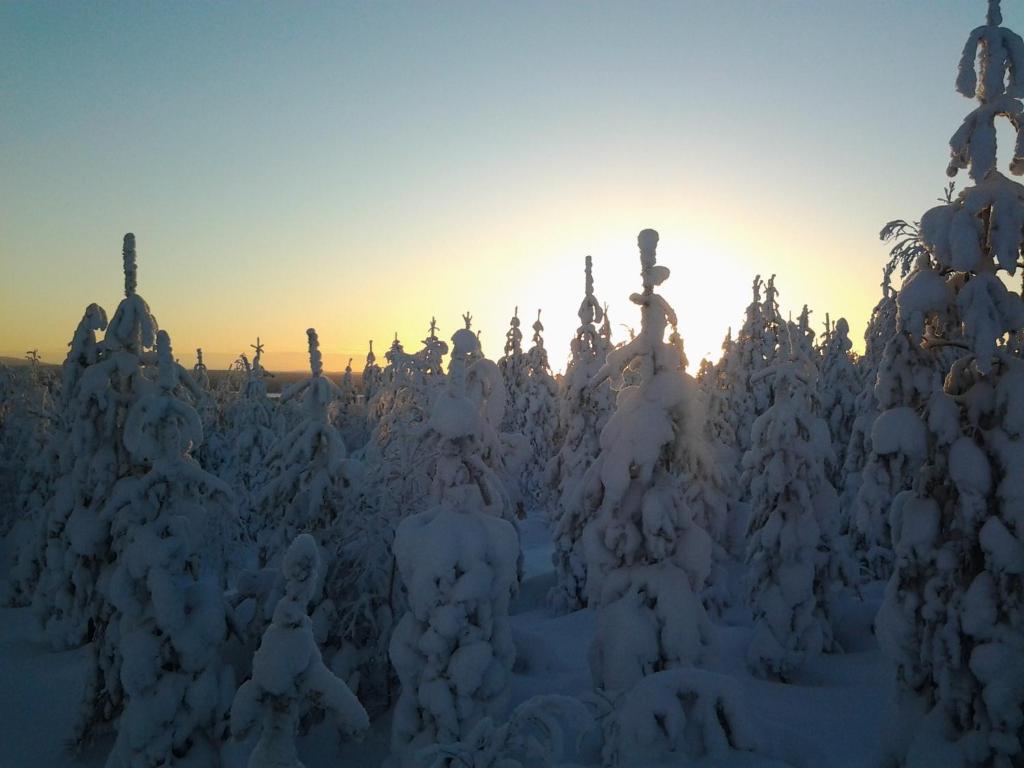 Sports and activities