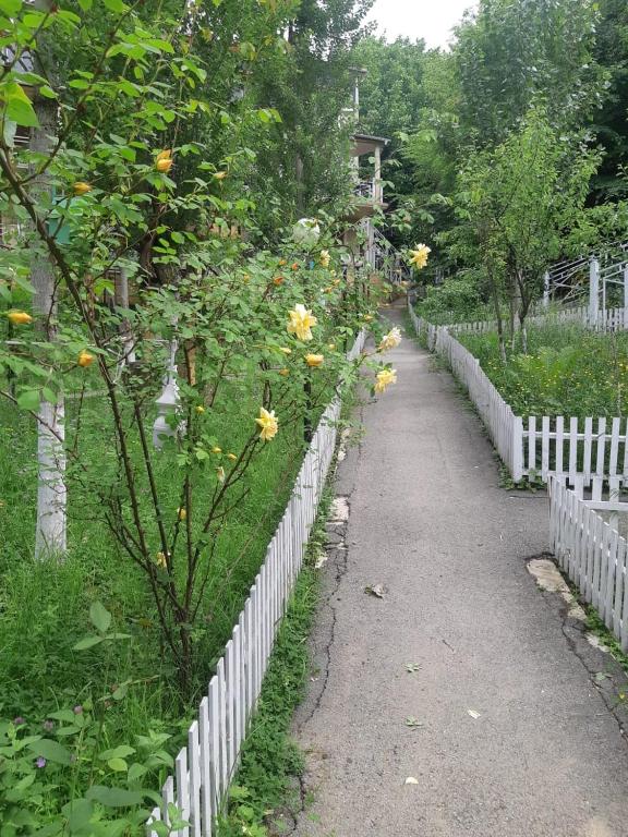 Vələs Garden, Quba