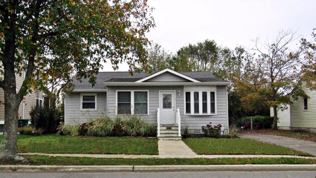 The Sea Turtle, Cape May