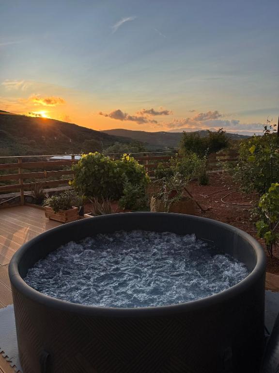 Olive Stone, Kamisianá