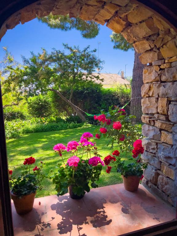 Casa delle Chicche - Imperia - 4